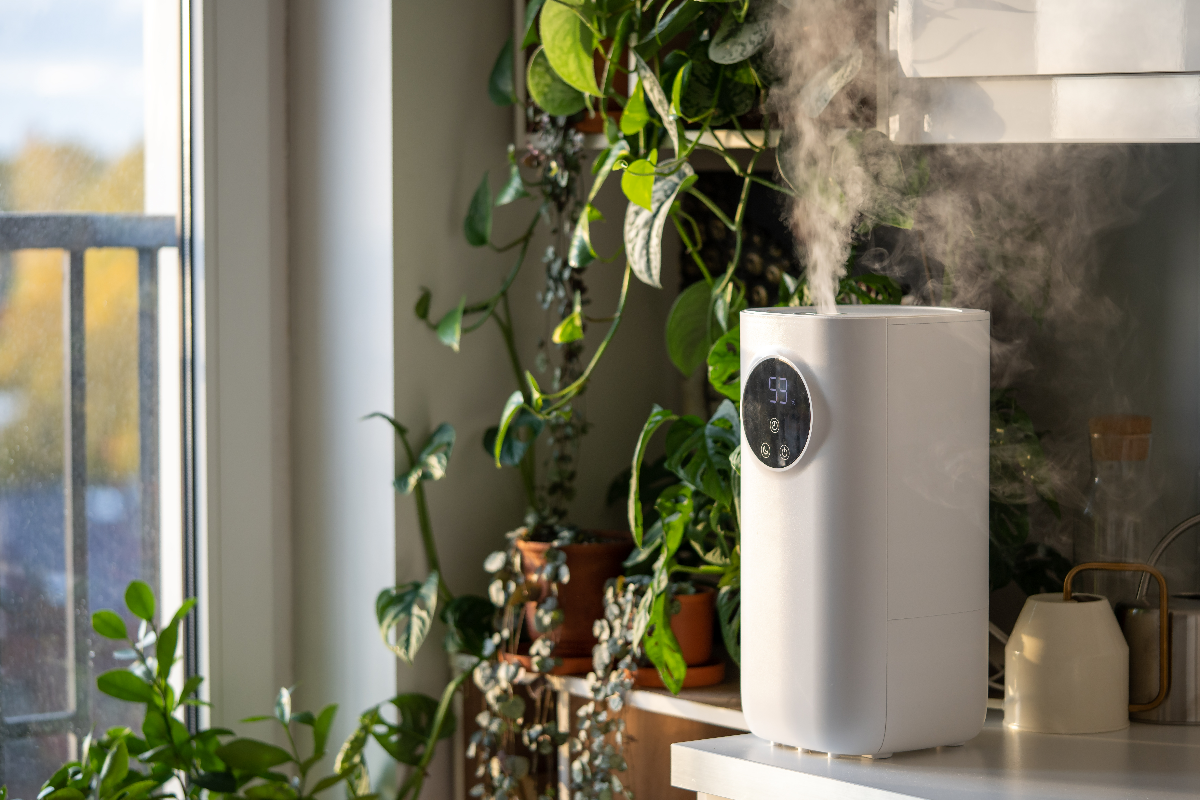 Myths About Indoor Air Quality